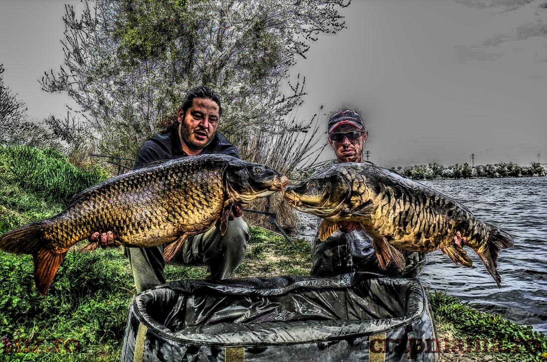 Cupa SBS (2) - 2013 - 1011527hdrmode2.JPG